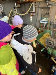 WhatsApp Bild 2025 10 03 Um 11.31.34 Be4d7e30 Klein